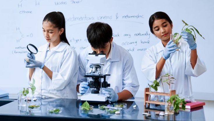 BEST DMLT INSTITUTE IN BARASAT